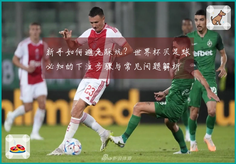 新手如何避免踩坑？世界杯买足球必知的下注步骤与常见问题解析