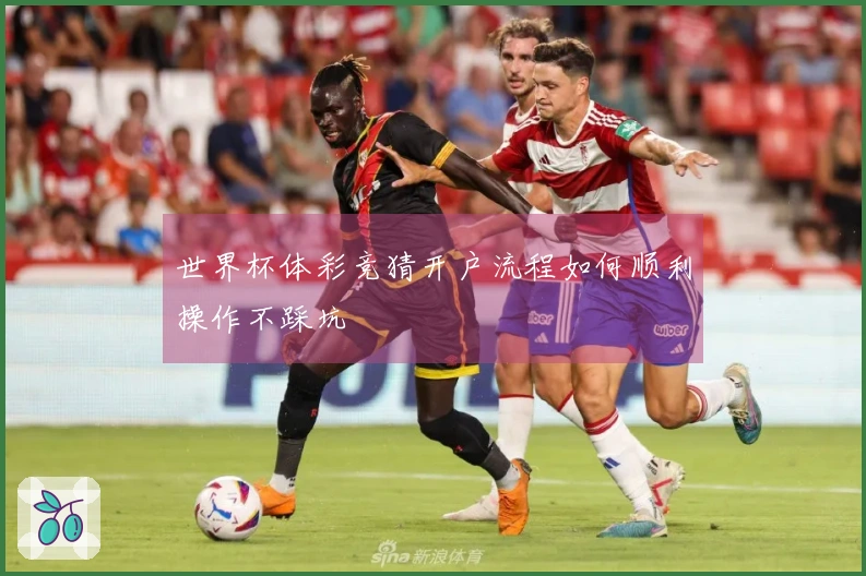 世界杯体彩竞猜开户流程如何顺利操作不踩坑