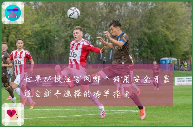 世界杯投注官网哪个好用安全可靠适合新手选择的榜单指南