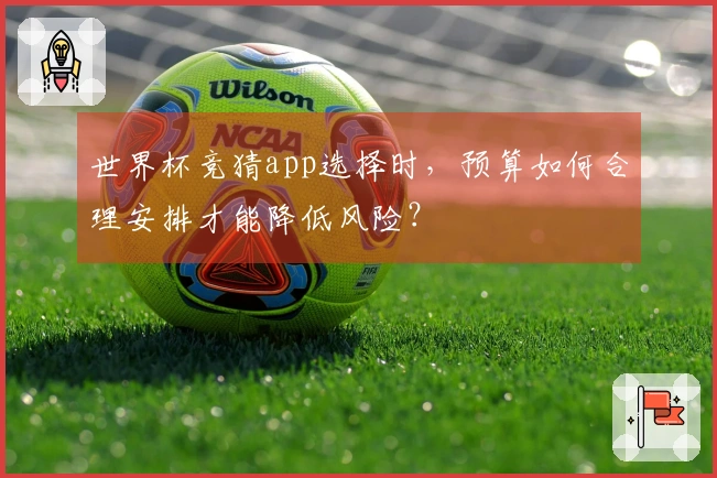 世界杯竞猜app选择时，预算如何合理安排才能降低风险？