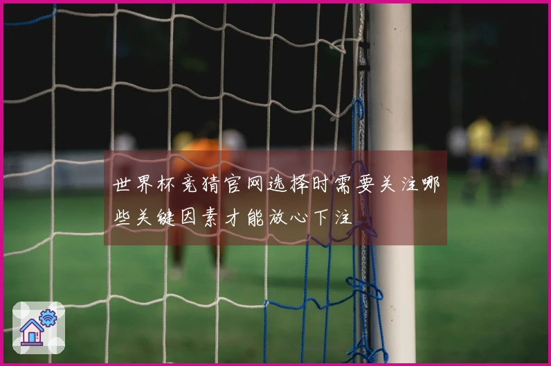 世界杯竞猜官网选择时需要关注哪些关键因素才能放心下注